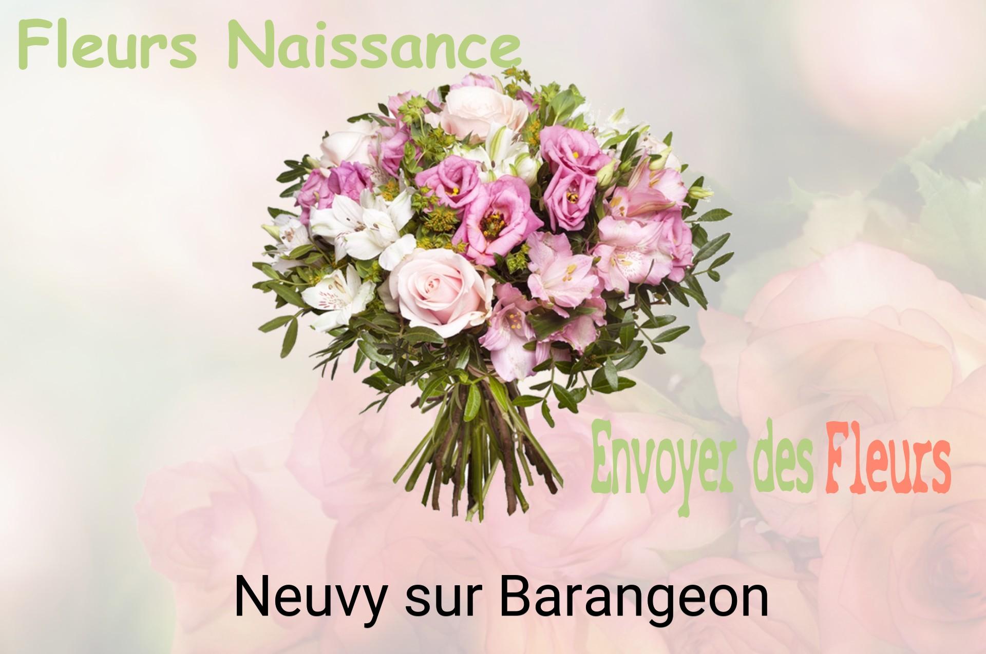 Bouquet de fleurs de naissance livré à Neuvy-sur-Barangeon