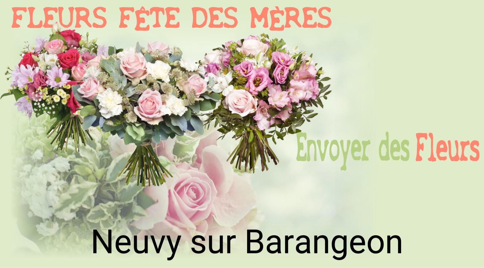 Bouquet de Fête des Mères livré à Neuvy-sur-Barangeon